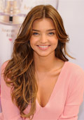 Wonderbra Wonderbra