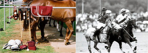 Cartier announces its 30th year of polo sponsorship