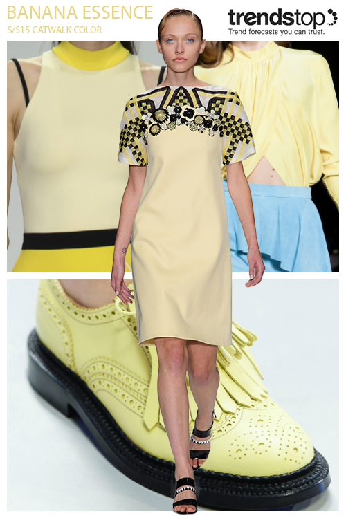 Spring-Summer 2015 Fashion trends: Key colors from the catwalks